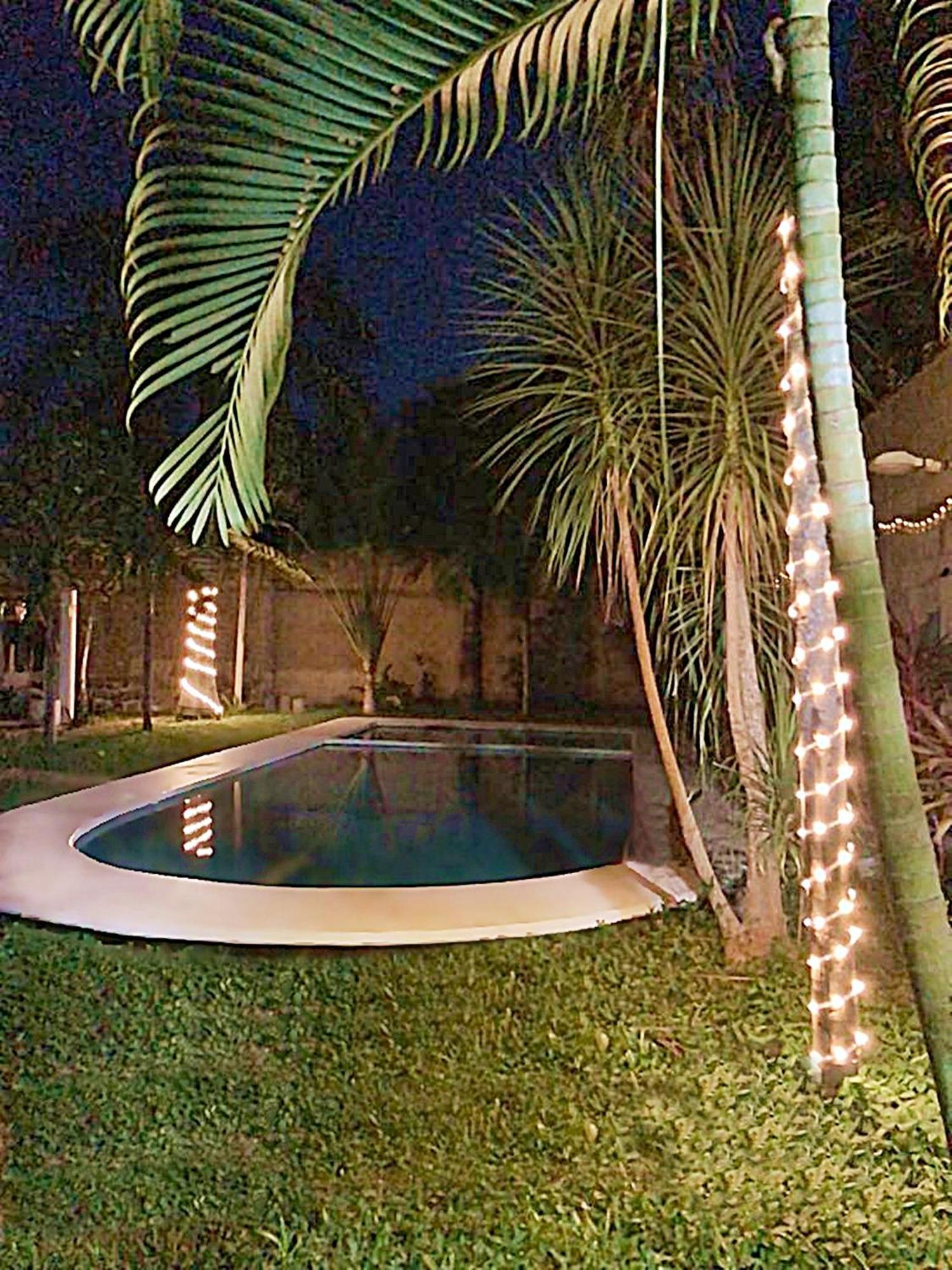 Green Paradise Leona Vicario Extérieur photo