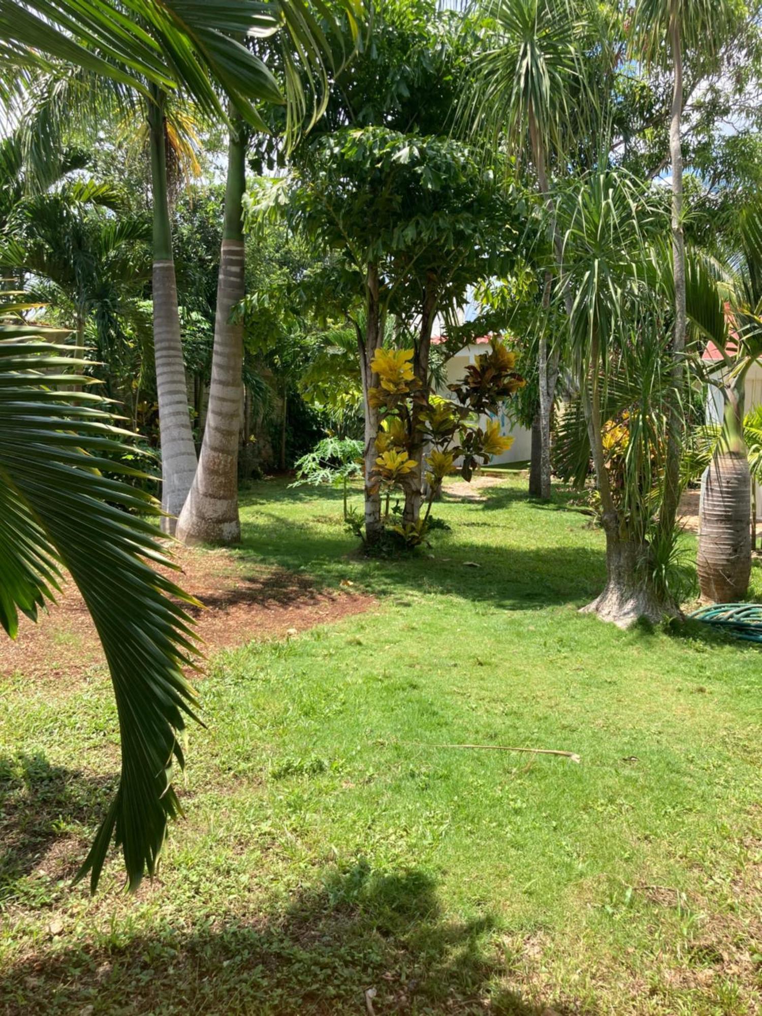 Green Paradise Leona Vicario Extérieur photo