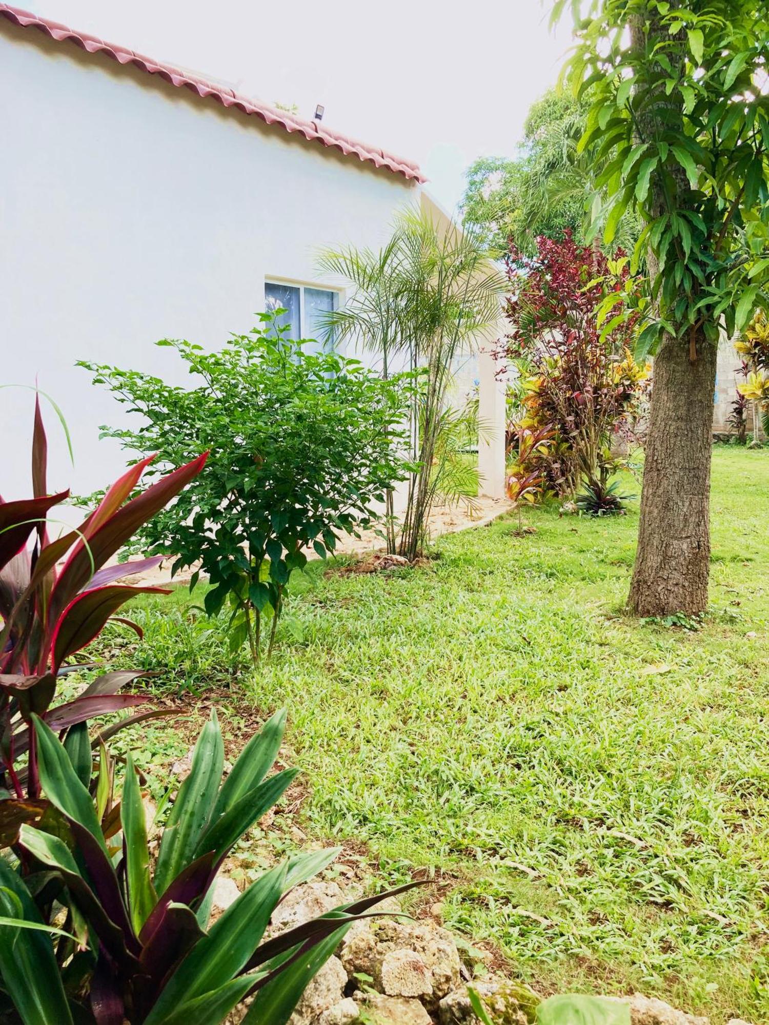 Green Paradise Leona Vicario Extérieur photo