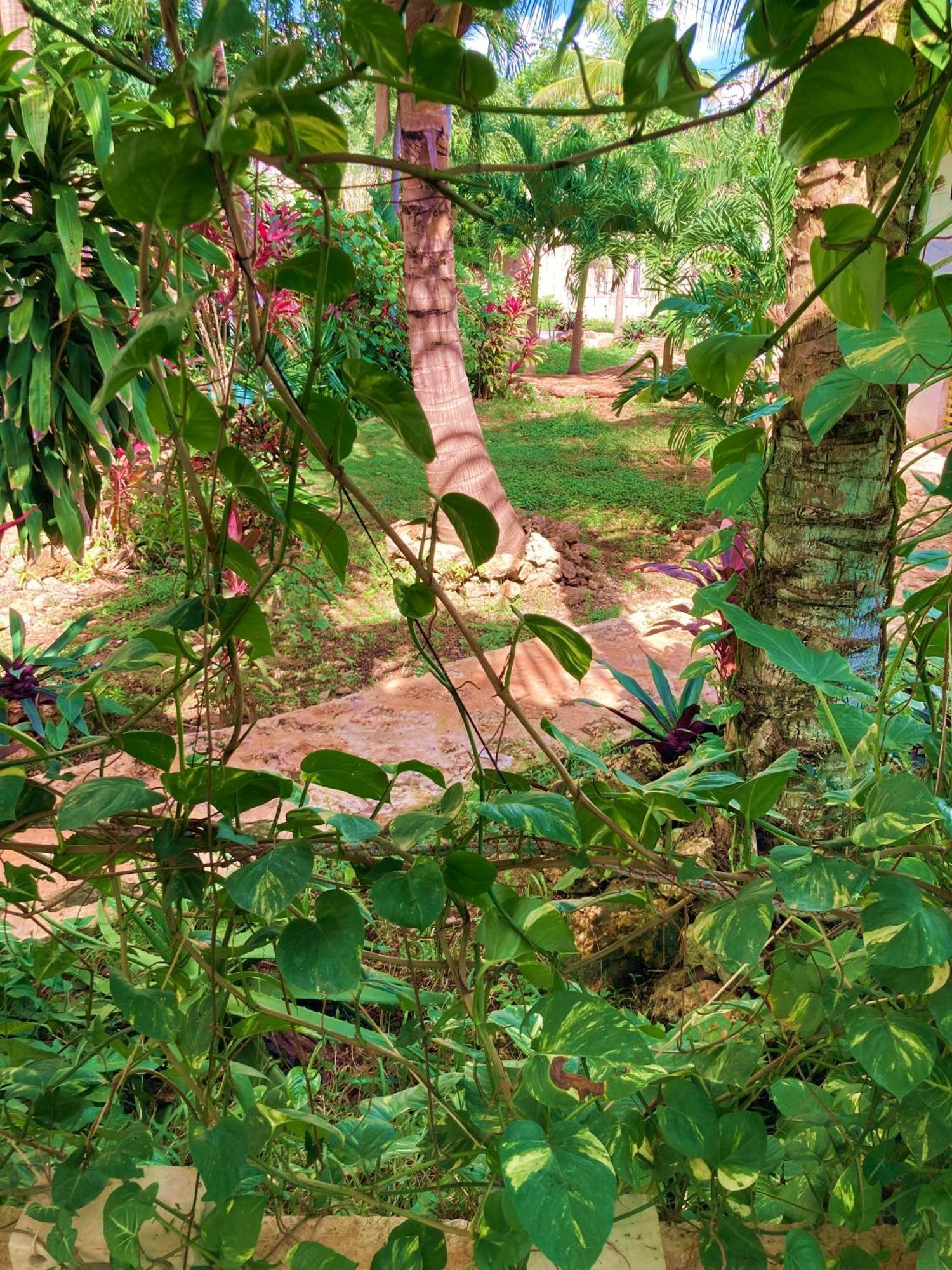 Green Paradise Leona Vicario Extérieur photo