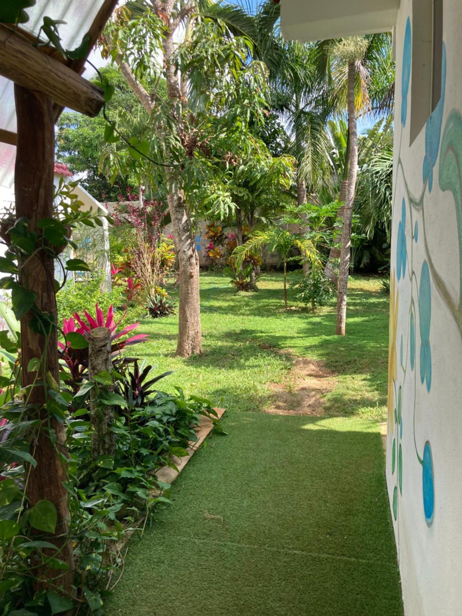 Green Paradise Leona Vicario Extérieur photo