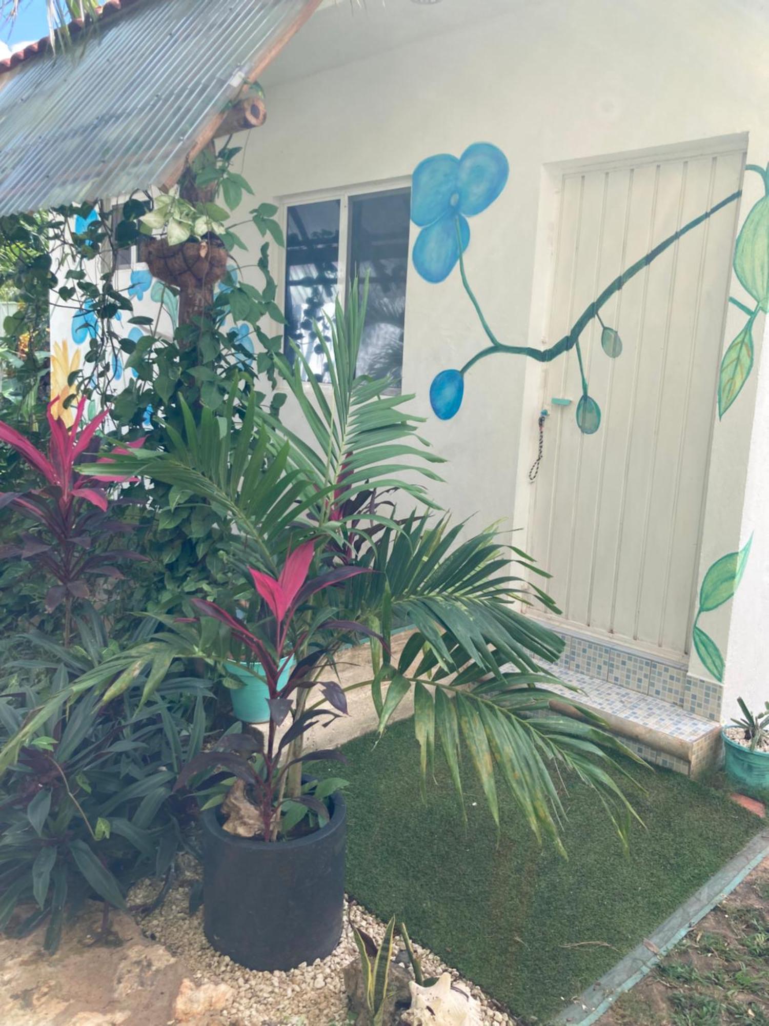 Green Paradise Leona Vicario Extérieur photo