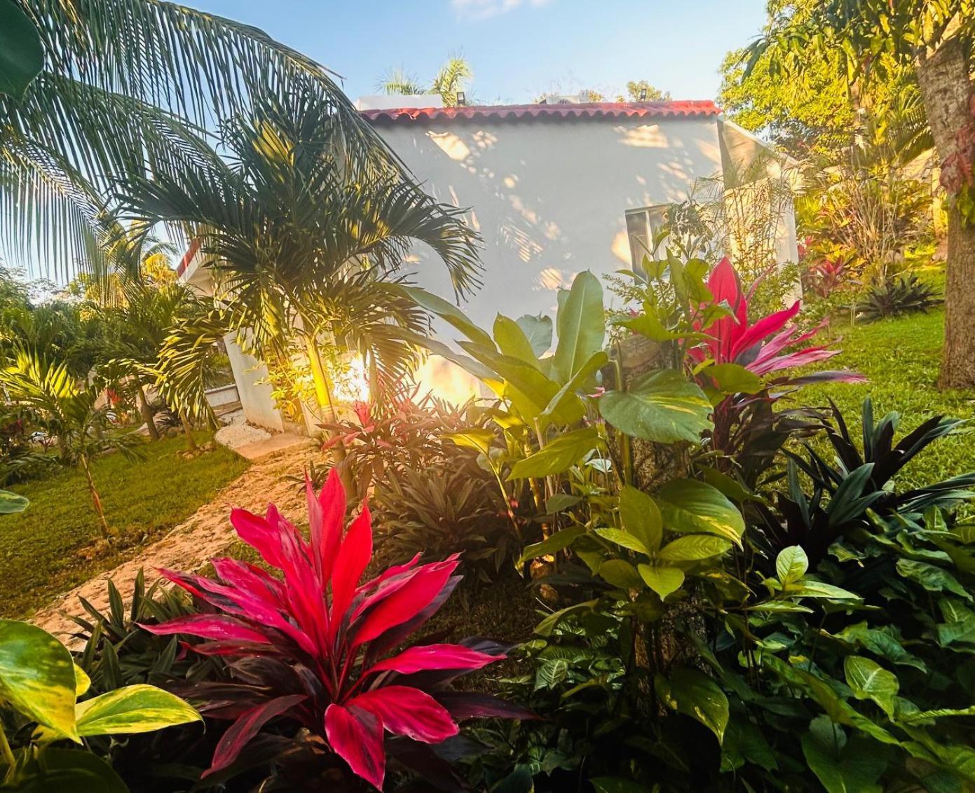 Green Paradise Leona Vicario Extérieur photo