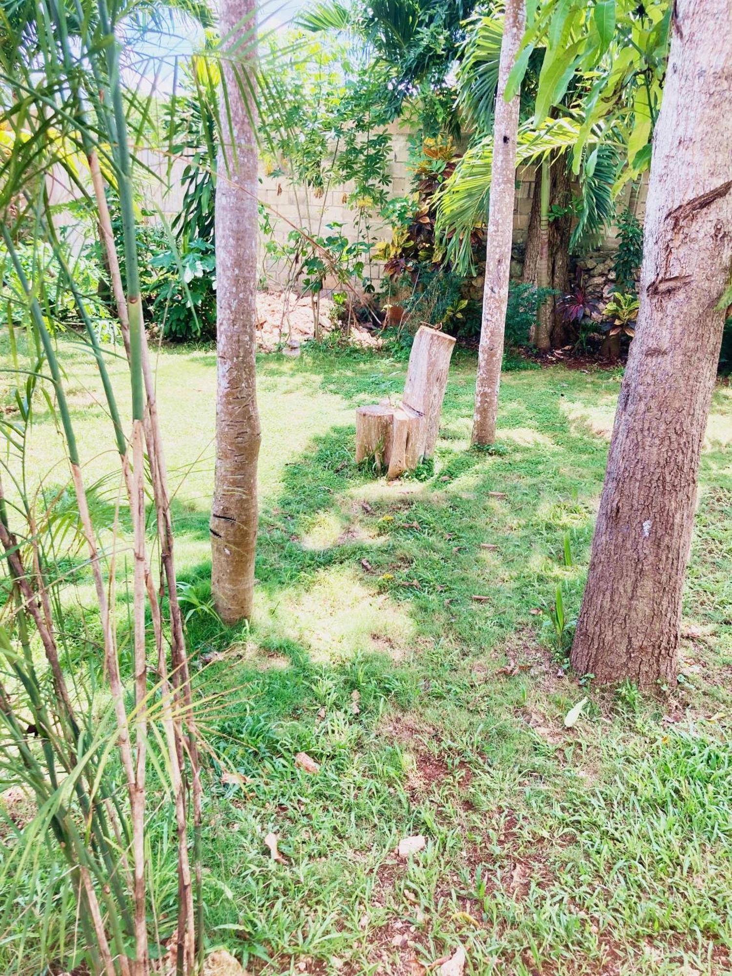 Green Paradise Leona Vicario Extérieur photo